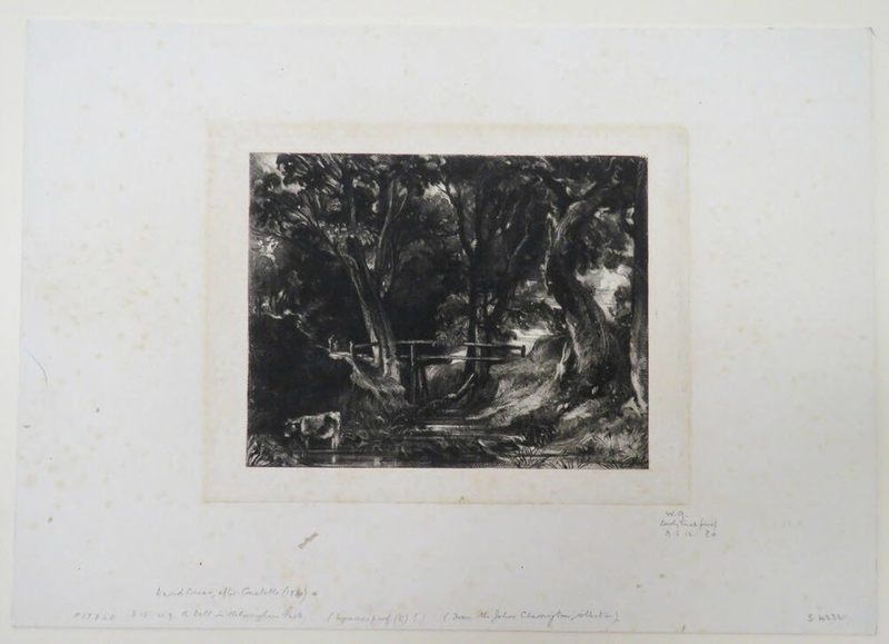 A Dell, Helmingham Park, Suffolk