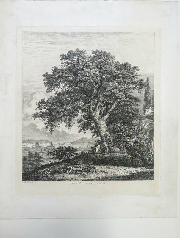 Tasso's Oak, Rome