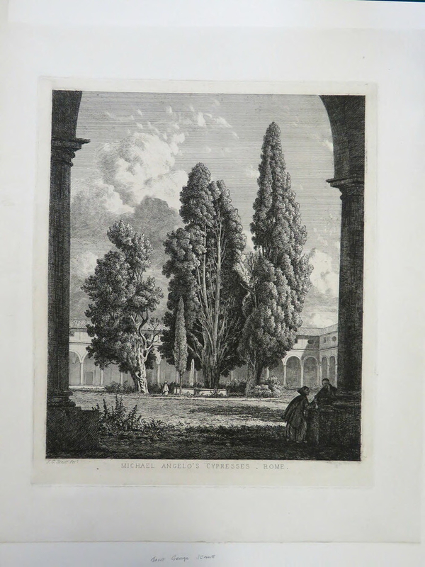 Michael Angelo's Cypresses, Rome