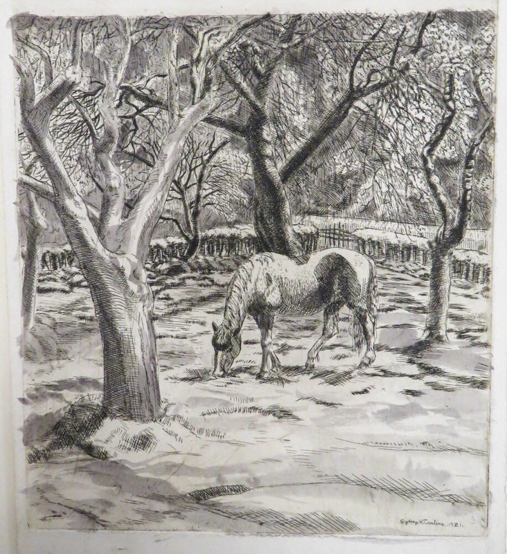 Piebald Pony in an Orchard
