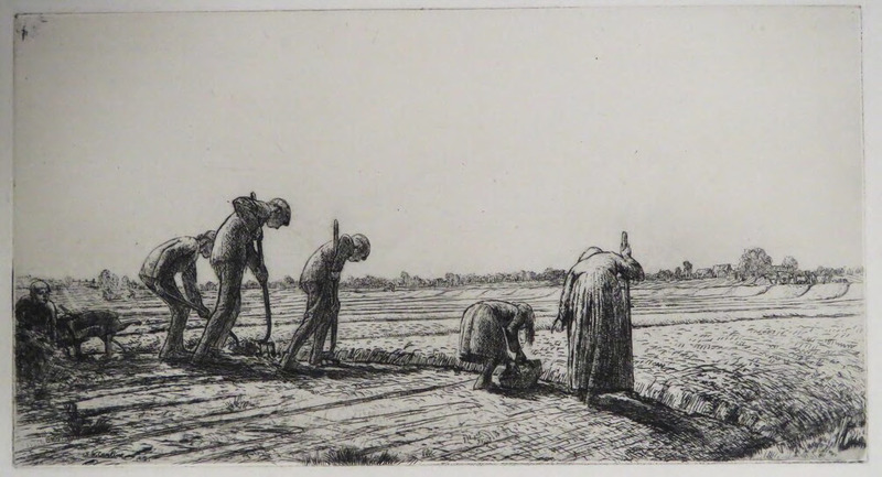 The Allotment Diggers