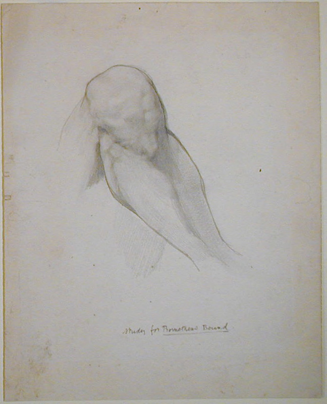 Study of a right knee for 'Prometheus Bound' (1874)
