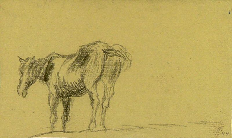 A Standing Horse, a preparatory study for an etching of a horse beside a stream