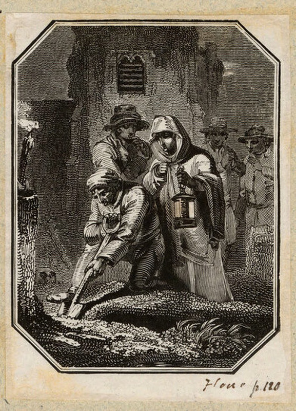 Nocturnal scene