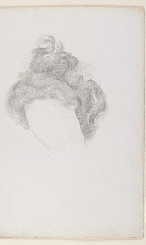 Study of Hair on a Woman's Head