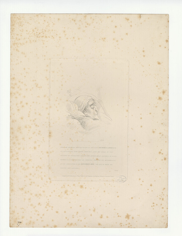 Portrait of Wellington