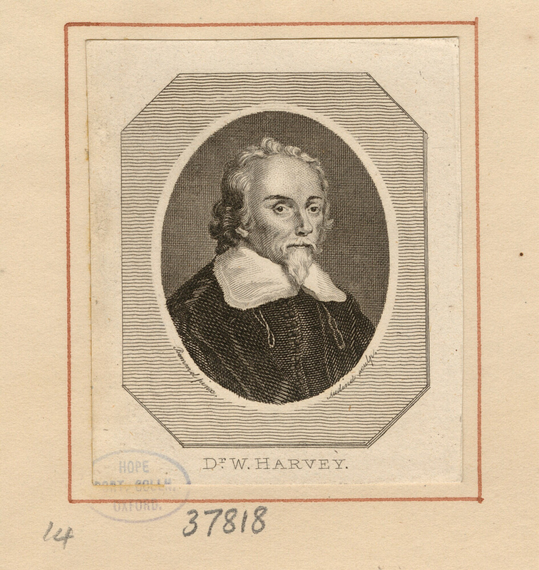 Portrait of W. Harvey