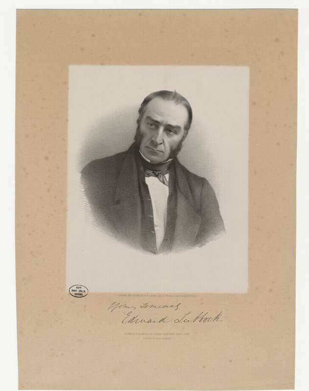 Portrait of E. Lubbock