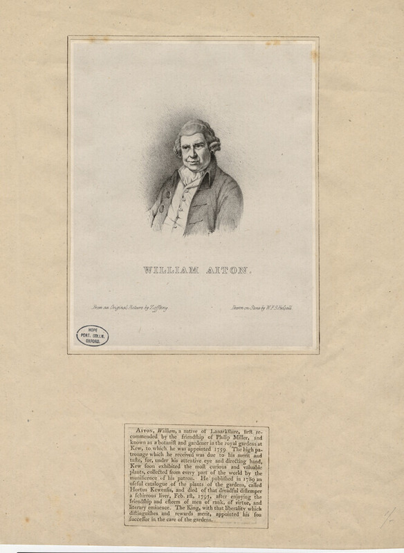 Portrait of W. Aiton