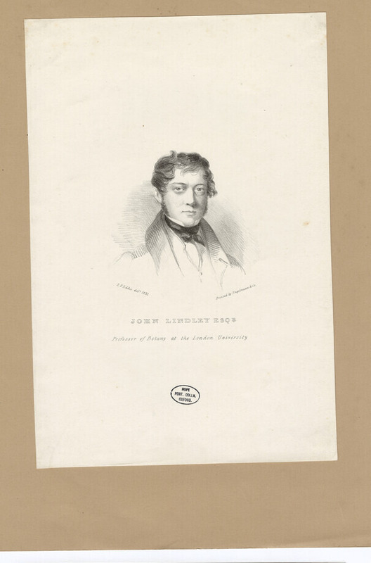 Portrait of J. Lindley