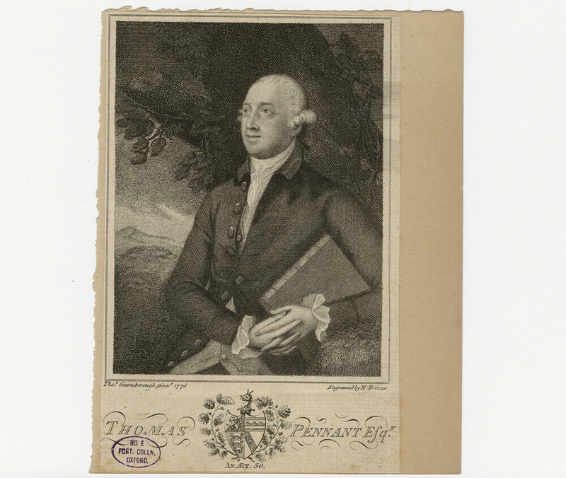 Portrait of T. Pennant