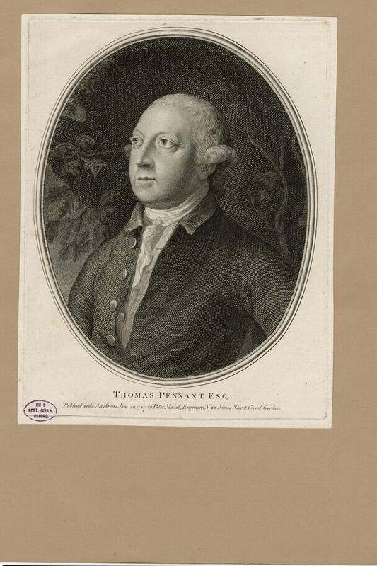 Portrait of T. Pennant