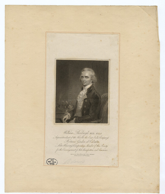 Portrait of W. Roxburgh