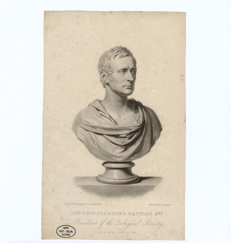 Portrait of Thomas Stamford Raffles