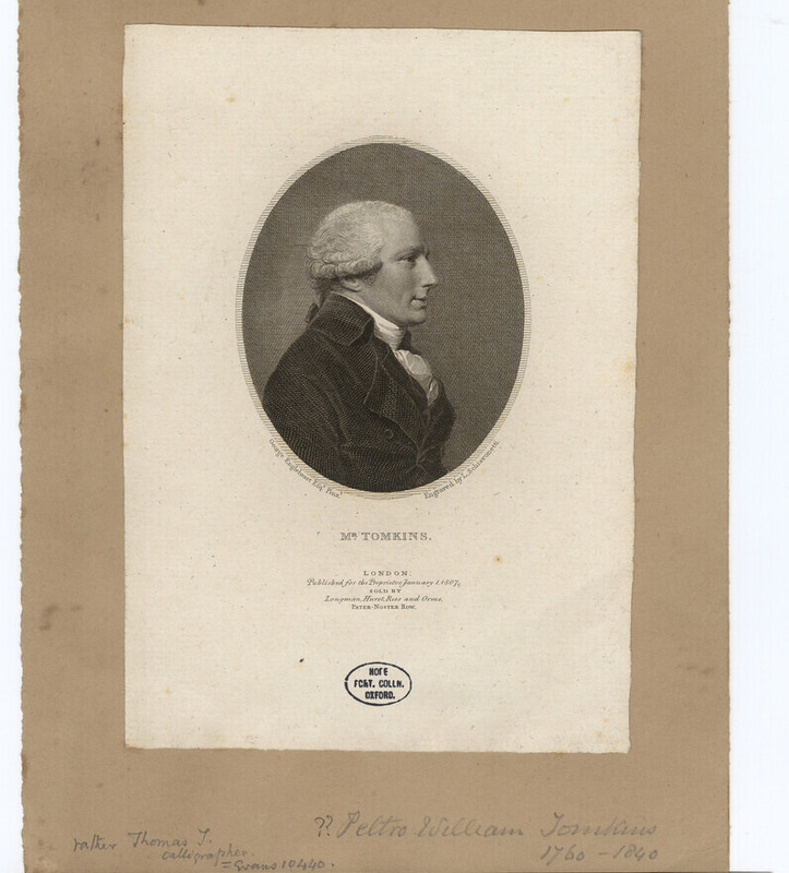 Portrait of Mr Tomkins