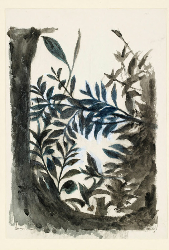 Sketch of a few Leaves in the Background of Botticelli's 'Primavera'