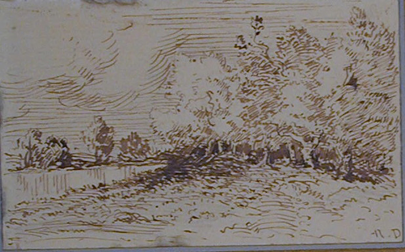 A wood beside a river