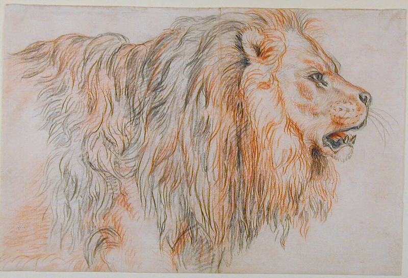 Recto: Studies of the Head of a Lion Verso: Studies of the Head of a Lion