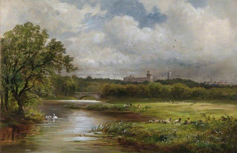 Rural Landscape with Sheep Grazing in a Meadow with Windsor Castle in the Distance
