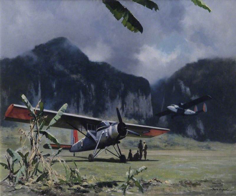 209 Squadron Pioneer at Fort Betis
