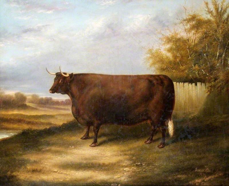 Sussex Cow 'Joan'