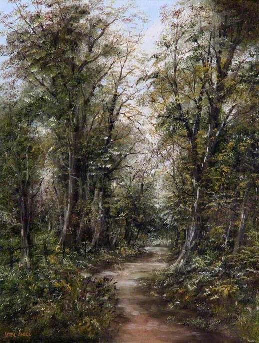 Woodland Path