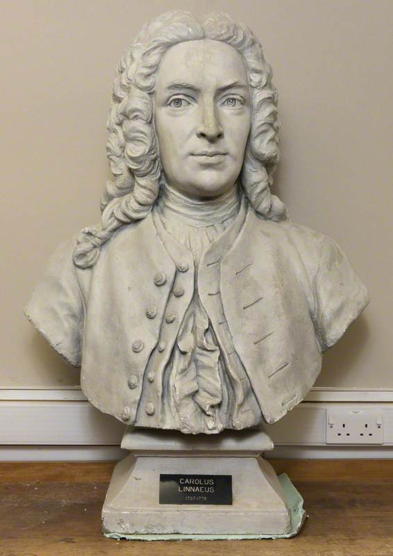 Carl Linnaeus (1707–1778)