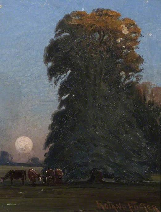 Setting Sun, Tree and Cattle