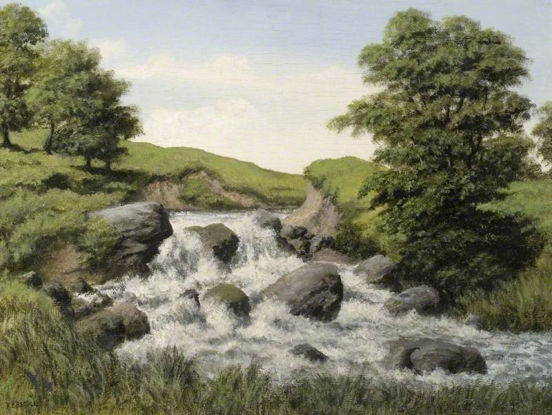Rapids on a River in a Hilly, Grassy Landscape