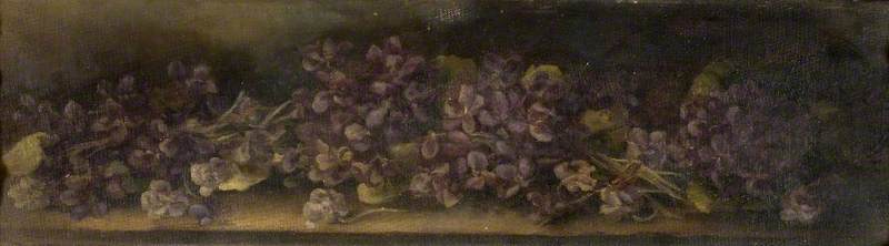 Violets