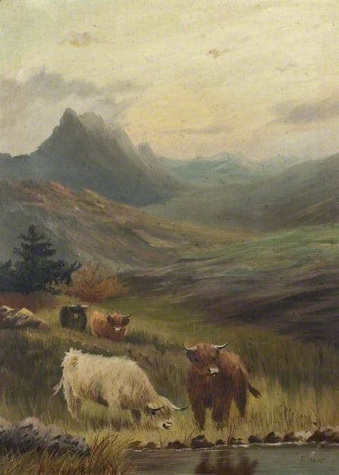 Highland Cattle by Water in a Mountainous Landscape*