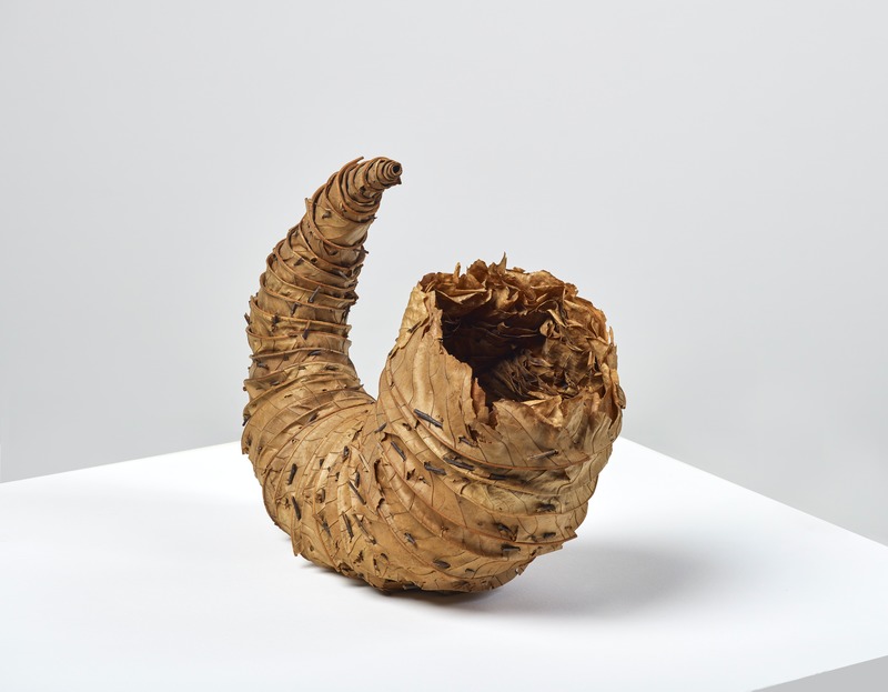 Sweet Chestnut Leaf Horn