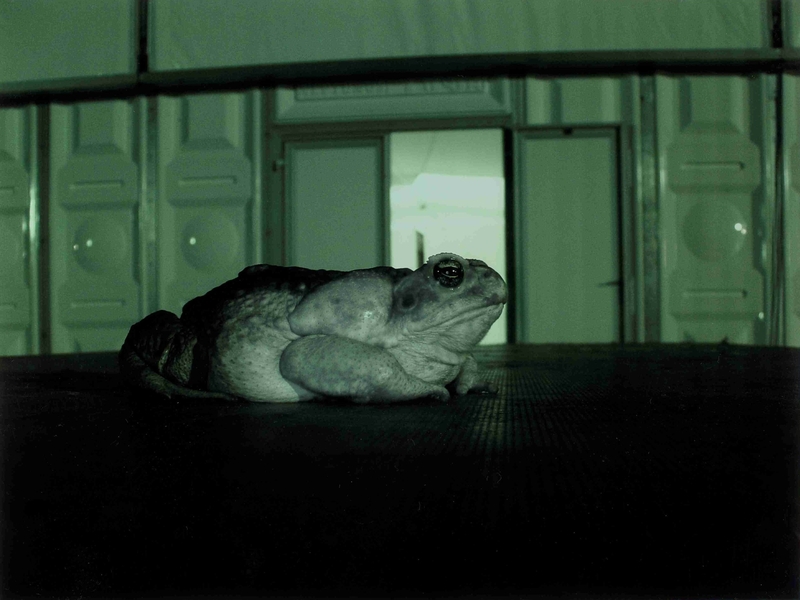 Night Shift