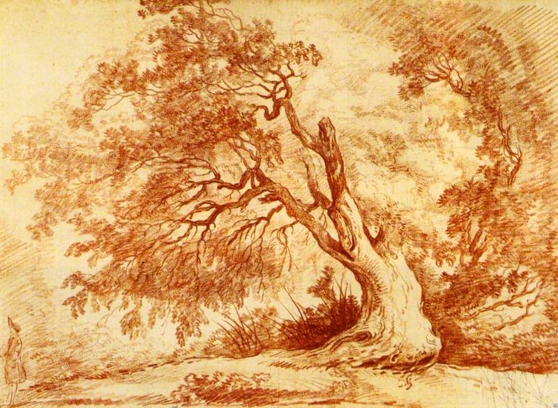 Study of a Tree with a Figure