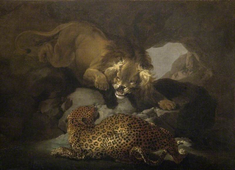 Lion and Leopard