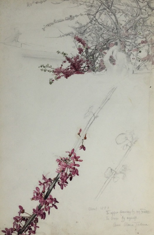 Blossom Branches