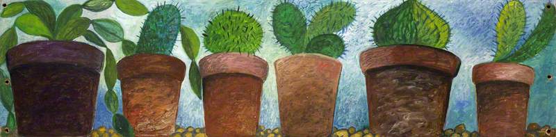 Cactuses