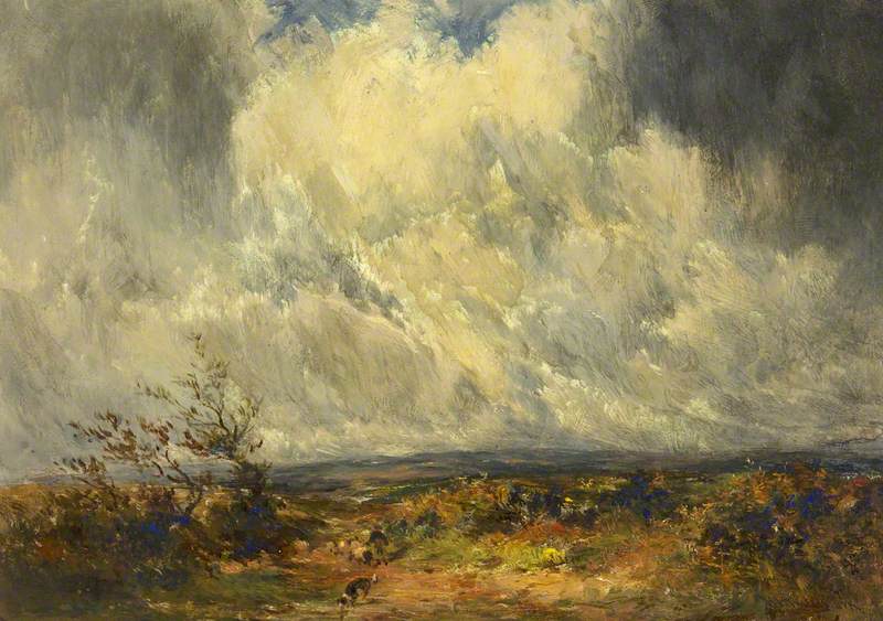A Breezy Moor