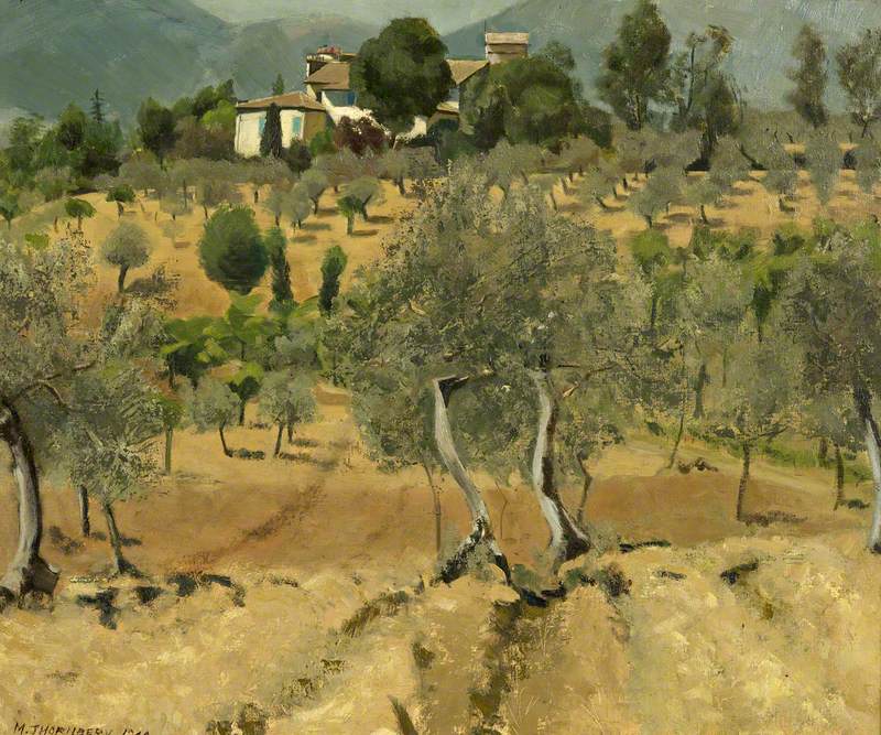 Olives in Italy