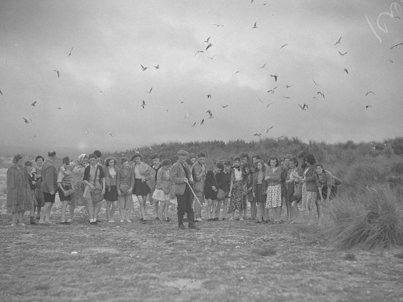 Birdwatchers at Ravenglass