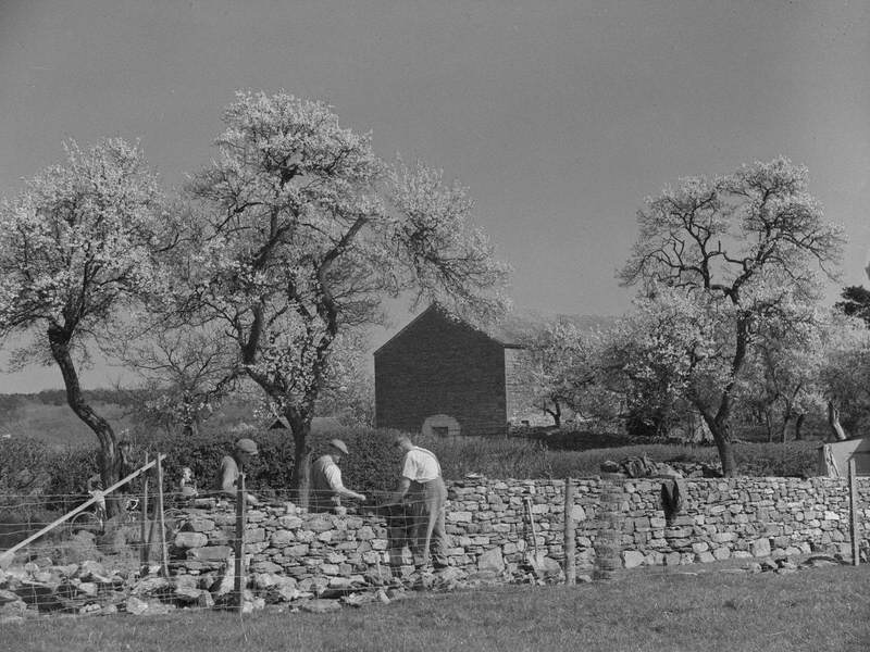 Wall Building, Penrith