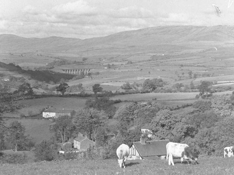 Lunesdale Landscape