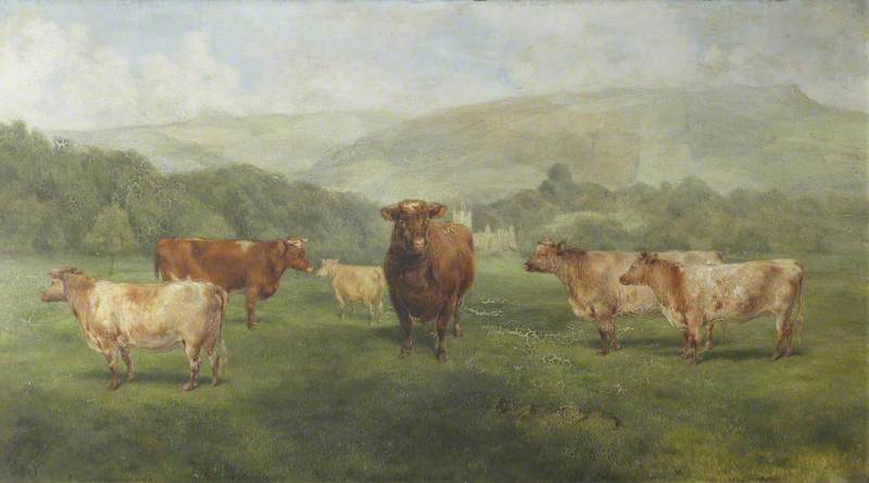 The Bull 'Duke of Underley', with Cows '8th Duchess of Oneida' and 'Duchess of Lancaster'