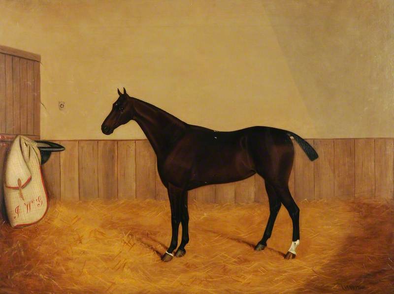 Racehorse; 'Lisburn'