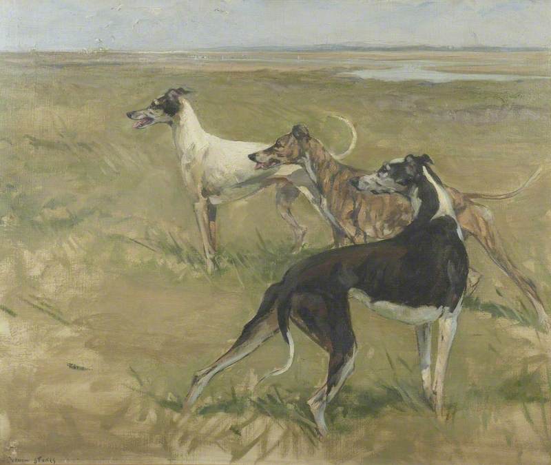 Three Greyhounds on an Estuary Marsh