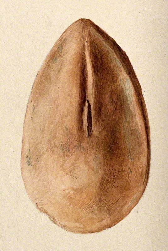 A Clay Figure in the Form of a Vagina Assumed to Have Been Made as a Votive Offering