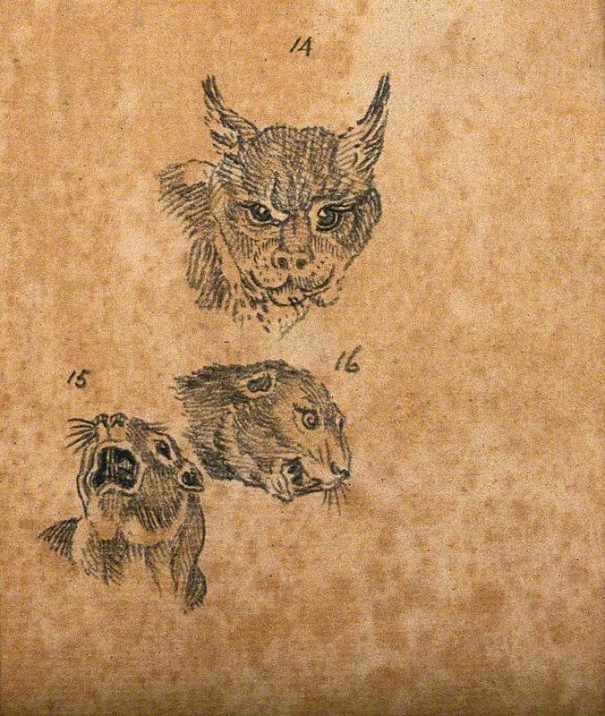 Head of a Lynx and Two Figures of the Head of a Beaver