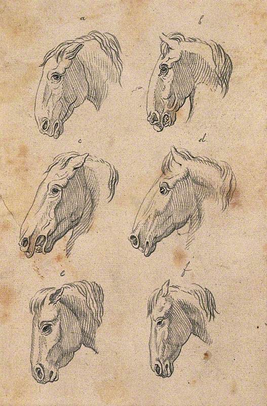 Six Heads of Horses