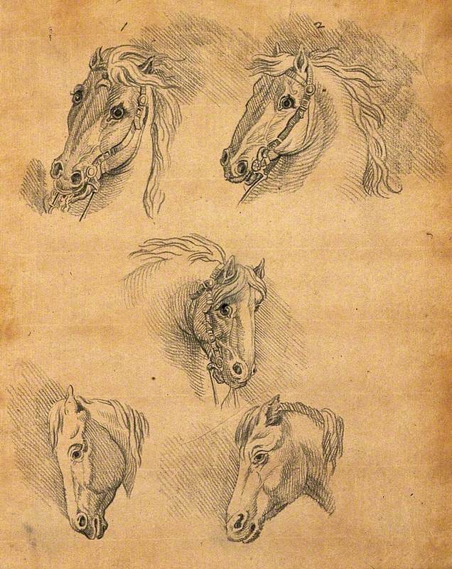 Five Heads of Horses