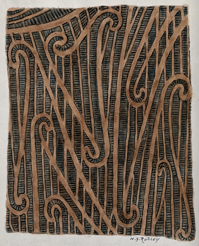 Puhoro: Tracing of the Chisel Cuts Used in a Maori Design of Tattooing on the Thigh